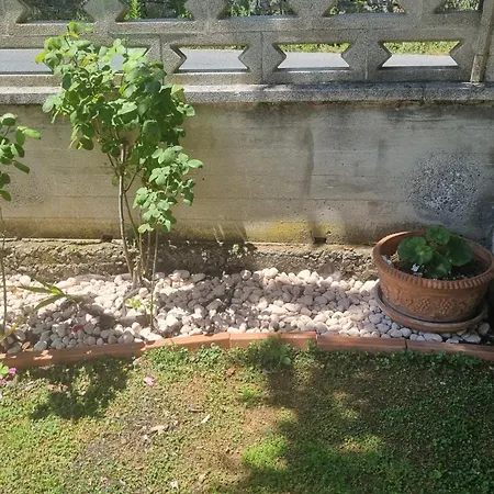 Evergreen House - Japartments *