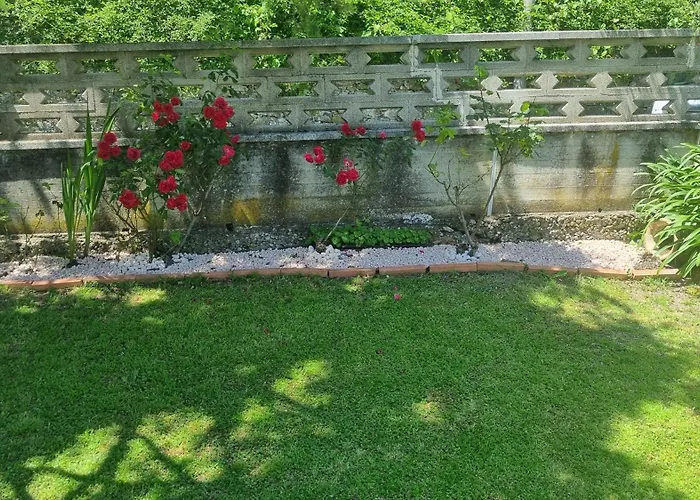 Apartmán Evergreen House - Japartments